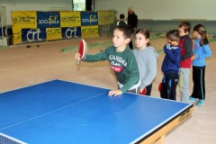 IMG_7017-2